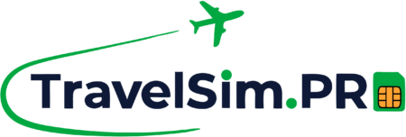 staging31102025.travelsim.pro - logo